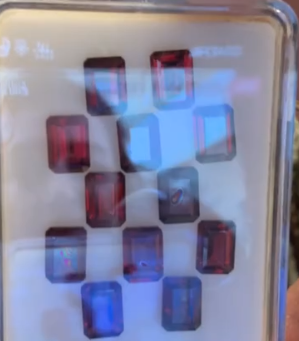 15.13crt Garnet 5X7mm Octagon Faceted (12 Pcs Box) GR5X7OCT