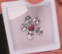 160 box for Jess grey flower DXBCS6704