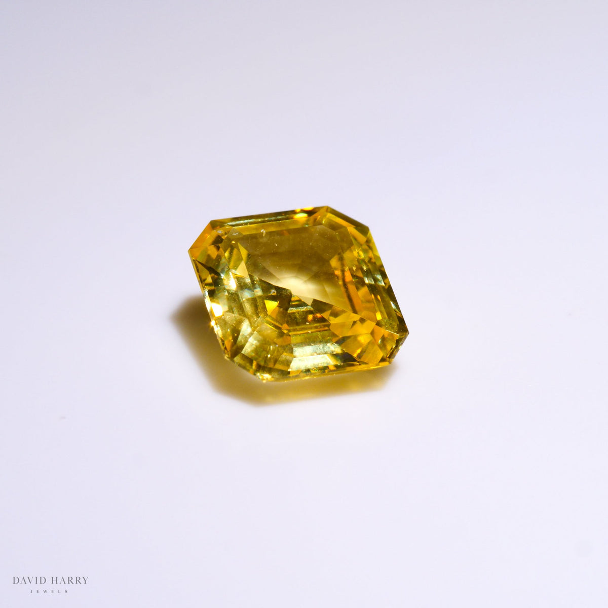 YSA005