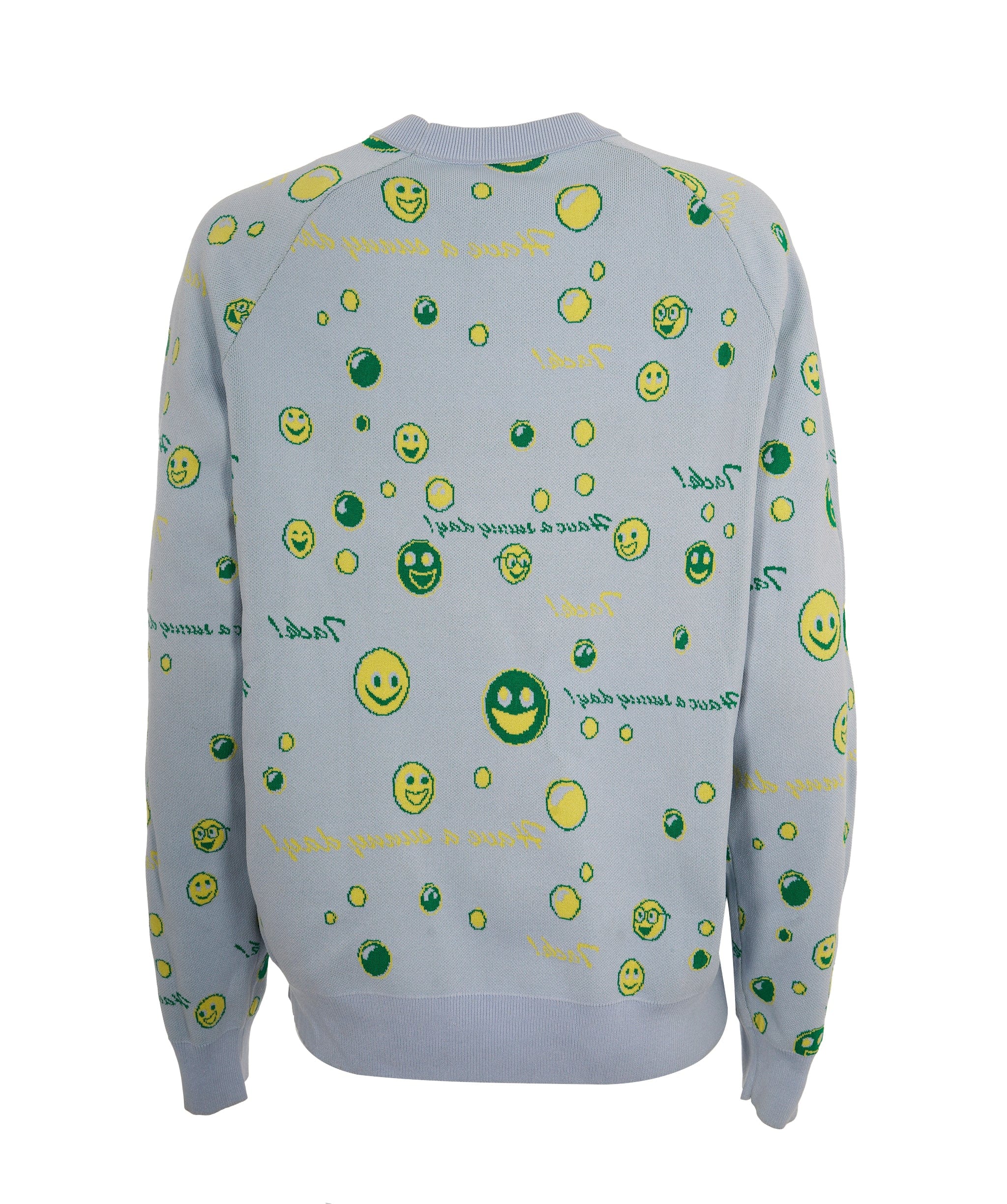 Acne Studios Acne Studio Light Blue Jumper  ALC2445