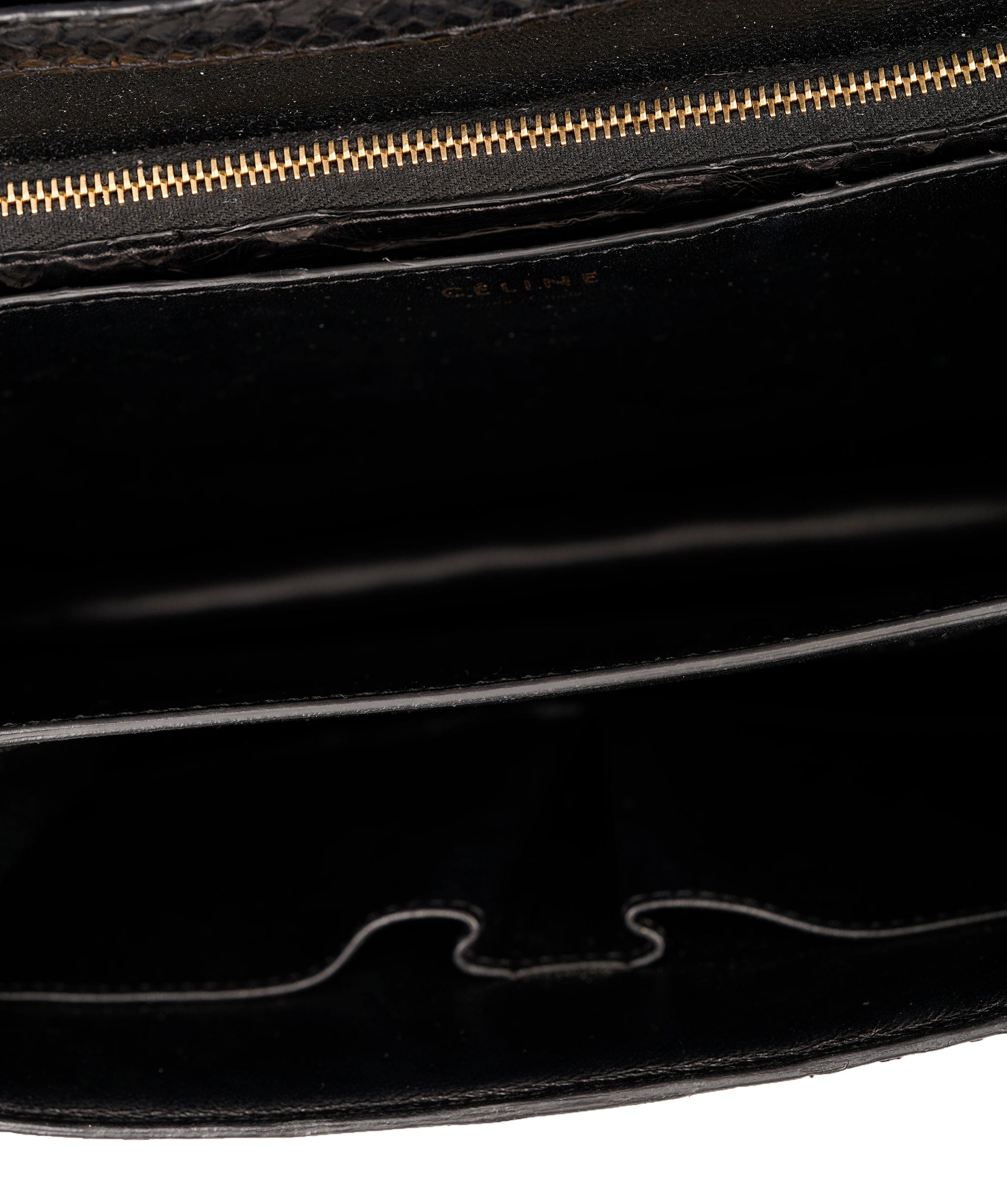 Celine Céline Classic box black python ghw bag - APC0038