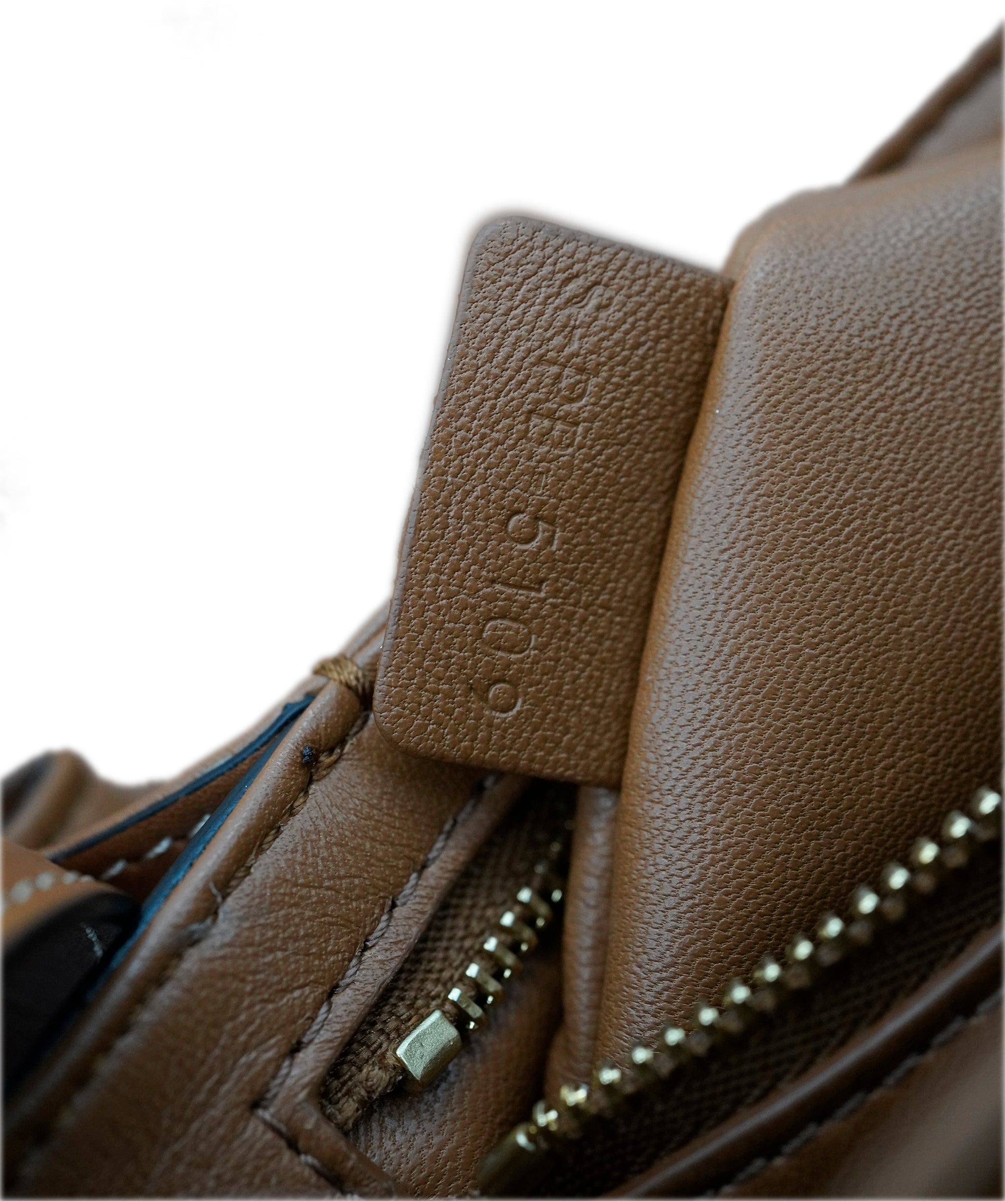 Celine Celine Triomphe Khaki and Tan Crossbody Bag - Current Season - ALL0772