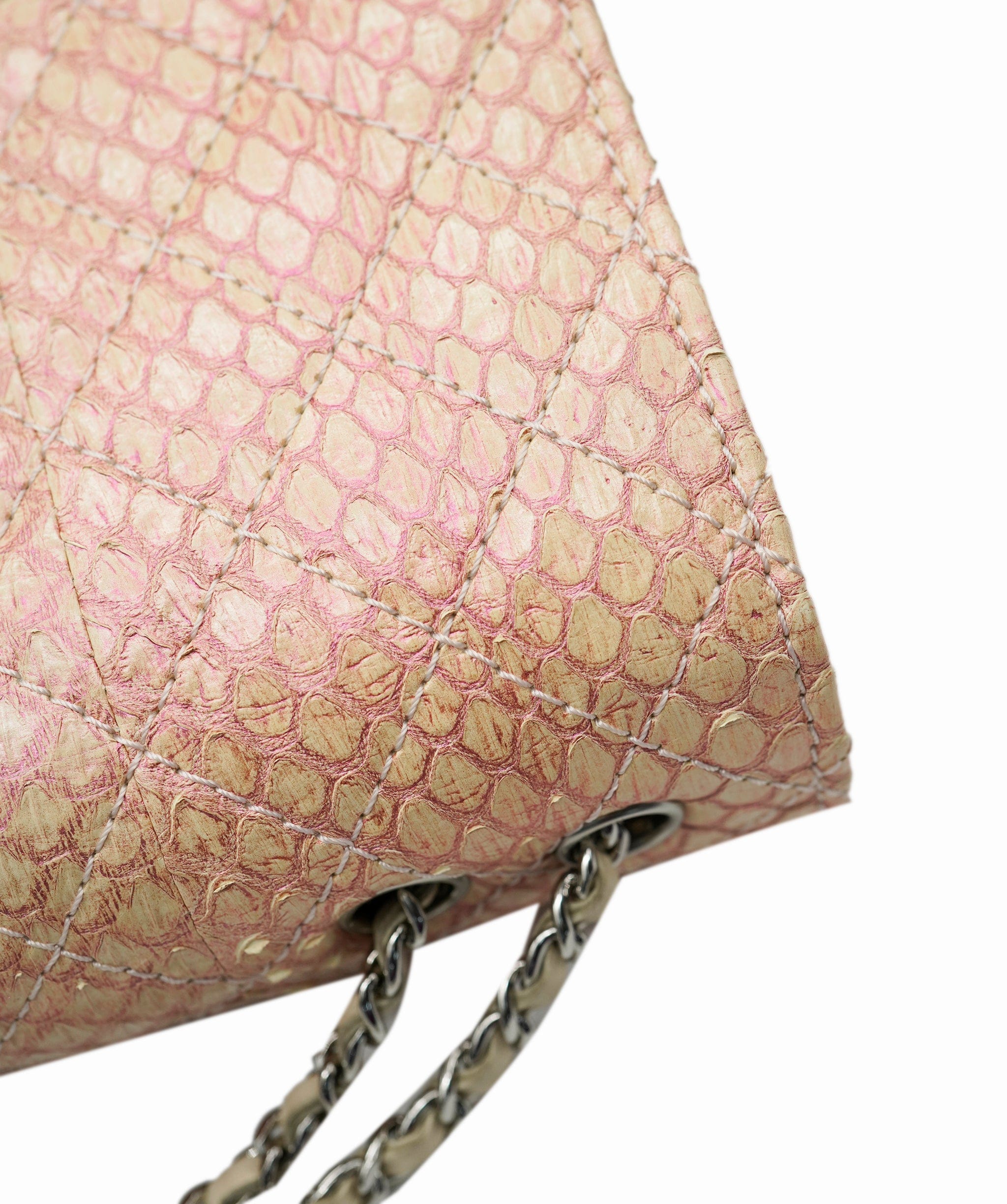 Chanel Chanel snake skin rainbow  flap bag  AVC1946
