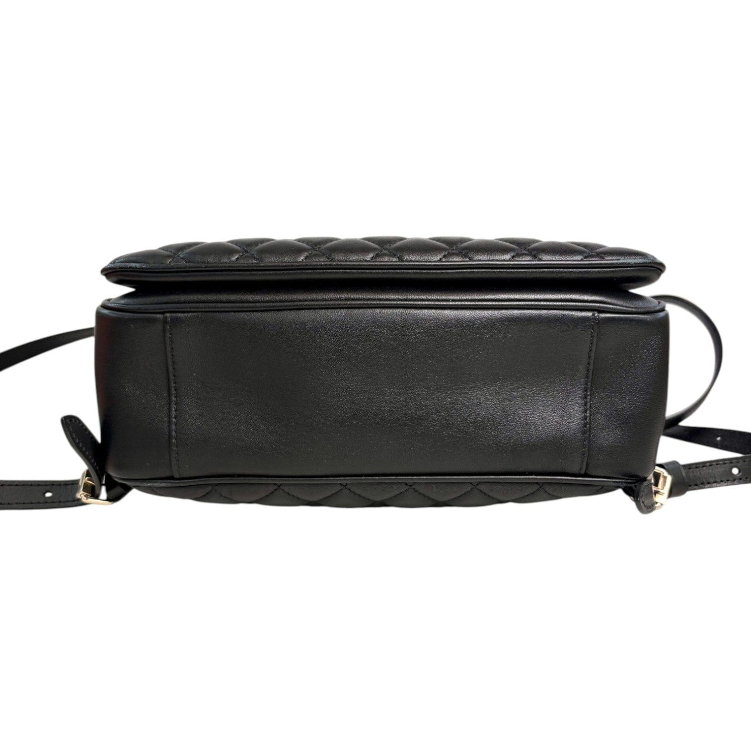 Chanel Chanel Black Calfskin Backpack Bag