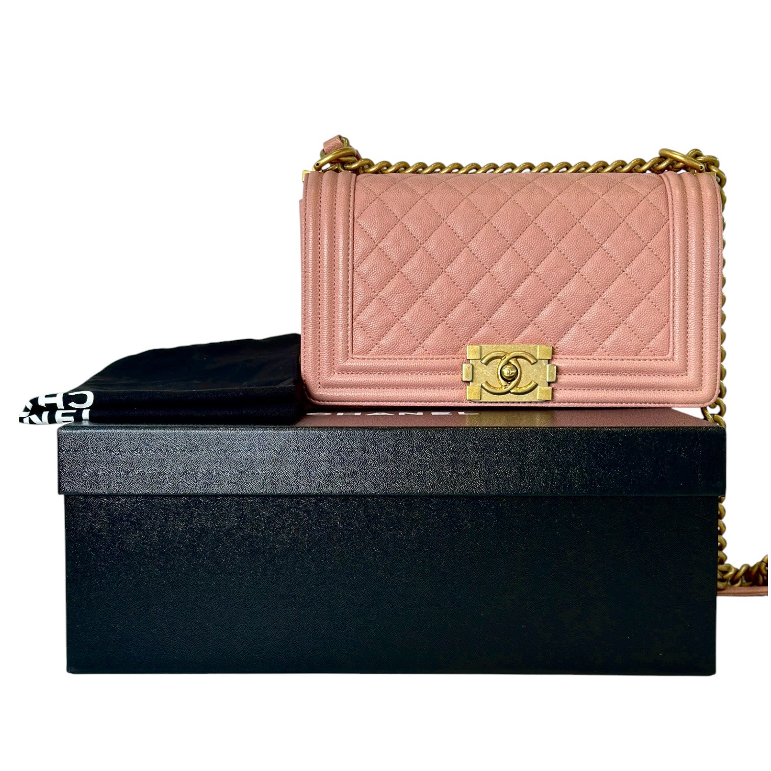 Chanel Chanel Leboy Medium Pink Bag