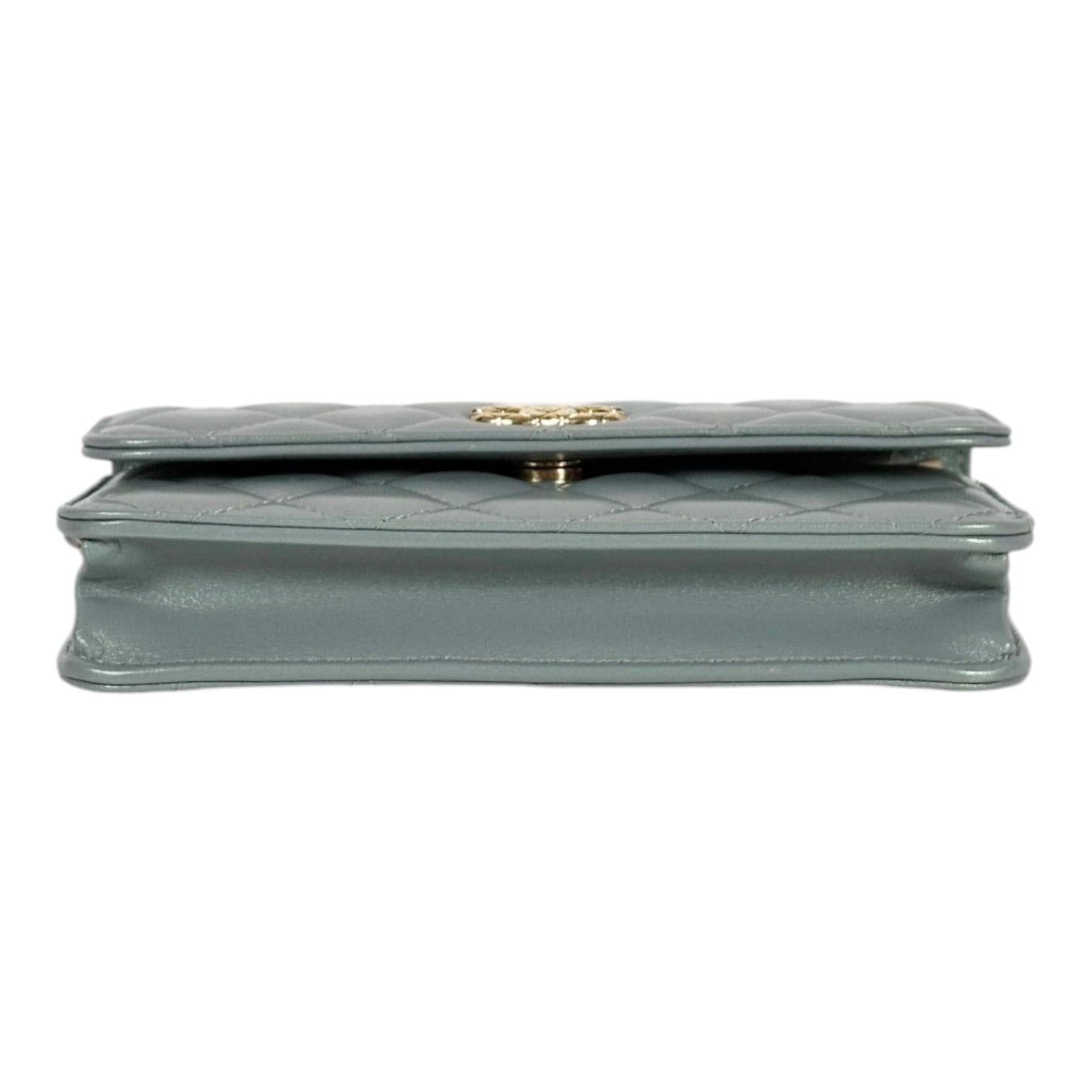 Chanel Chanel Light Green WOC in Lambskin Bag