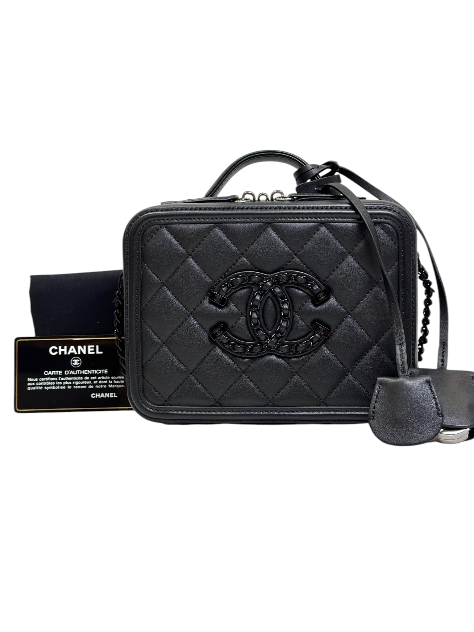 Chanel CHANEL VANITY CAMERA BAG WITH SILVER LOCK 122419A16