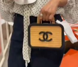 Chanel limited edition beechwood bag ALC4195