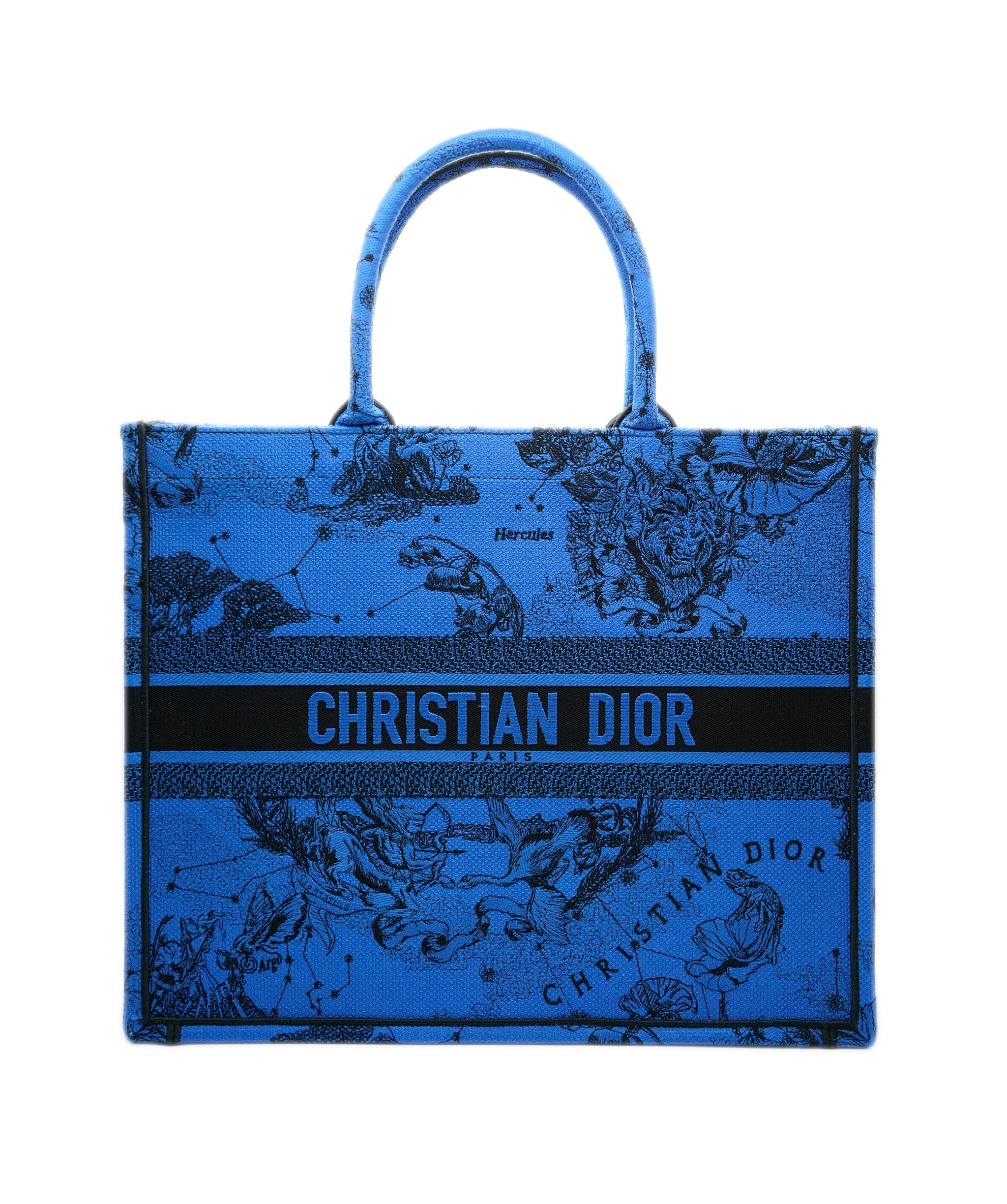 Dior Book Tote blue ASL7931 – LuxuryPromise