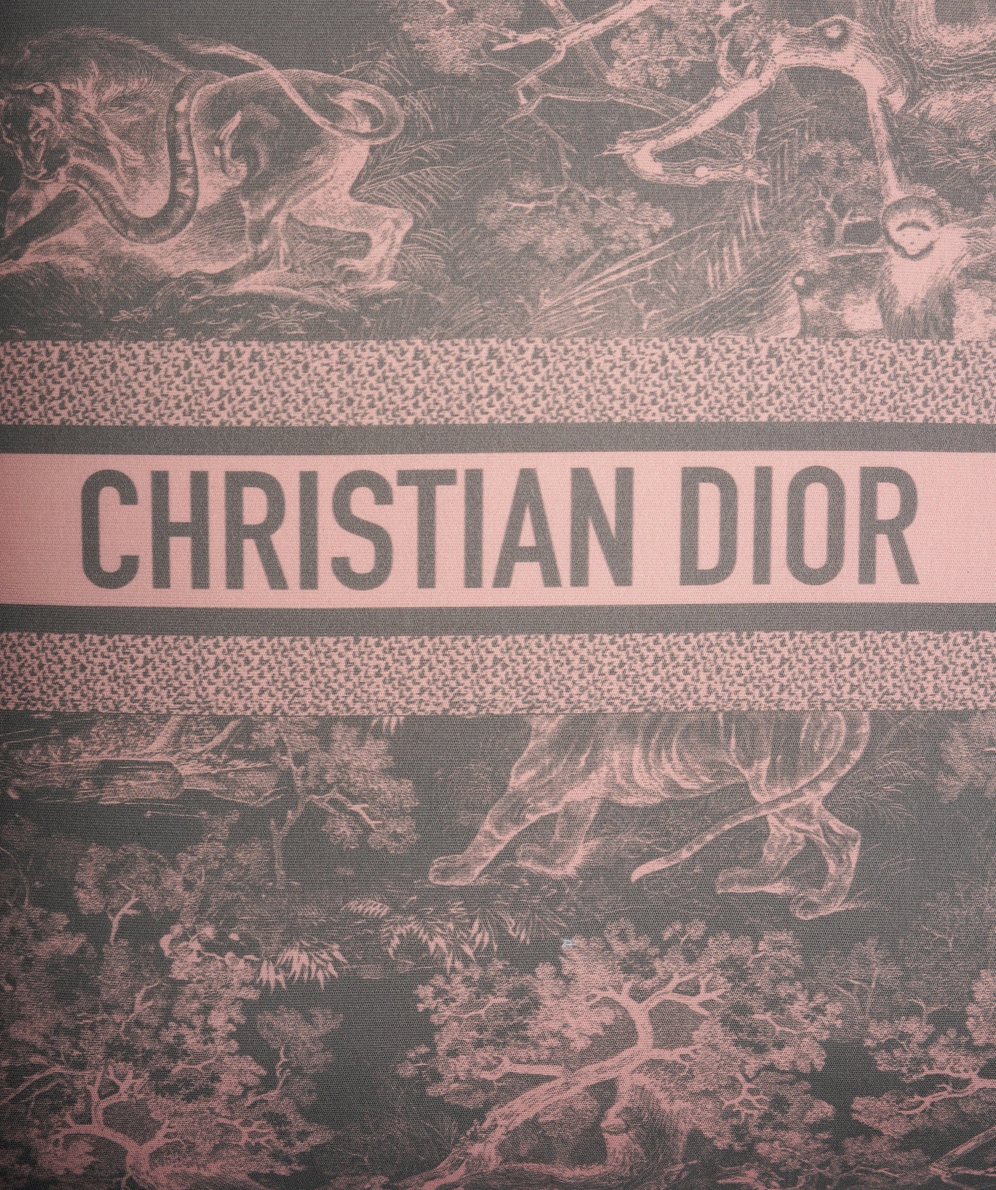 Christian Dior Home Linens Riviera Outdoor Cushion ASL10934