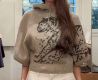 CHRISTIAN DIOR CHRISTIAN DIOR Short sleeves sweater with tiger AGC3779