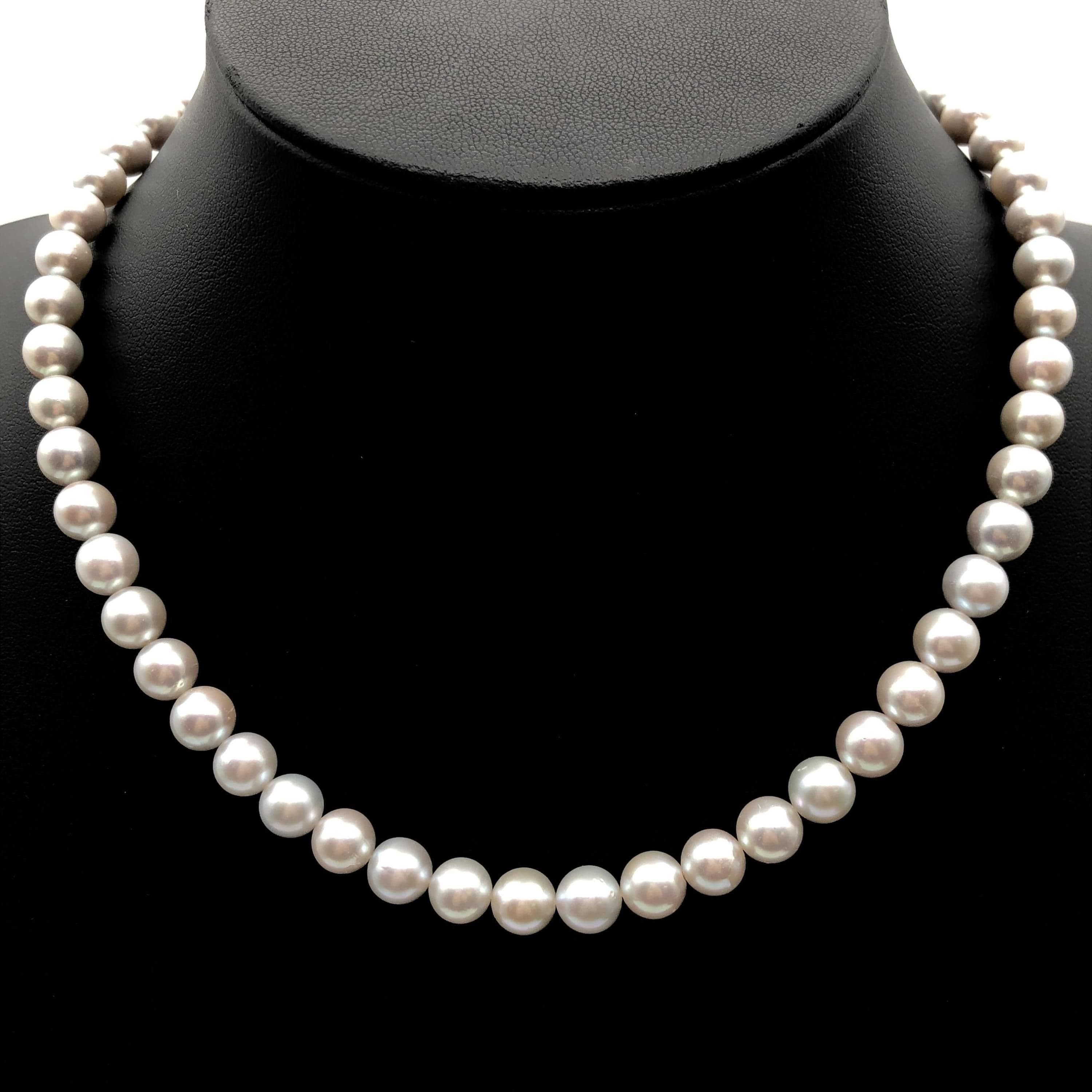 Custom Jewelry Custom Jewelry Akoya Pearl String Necklace, P(7.4~7.9mm), SV, 38.2g, 16inch C355569