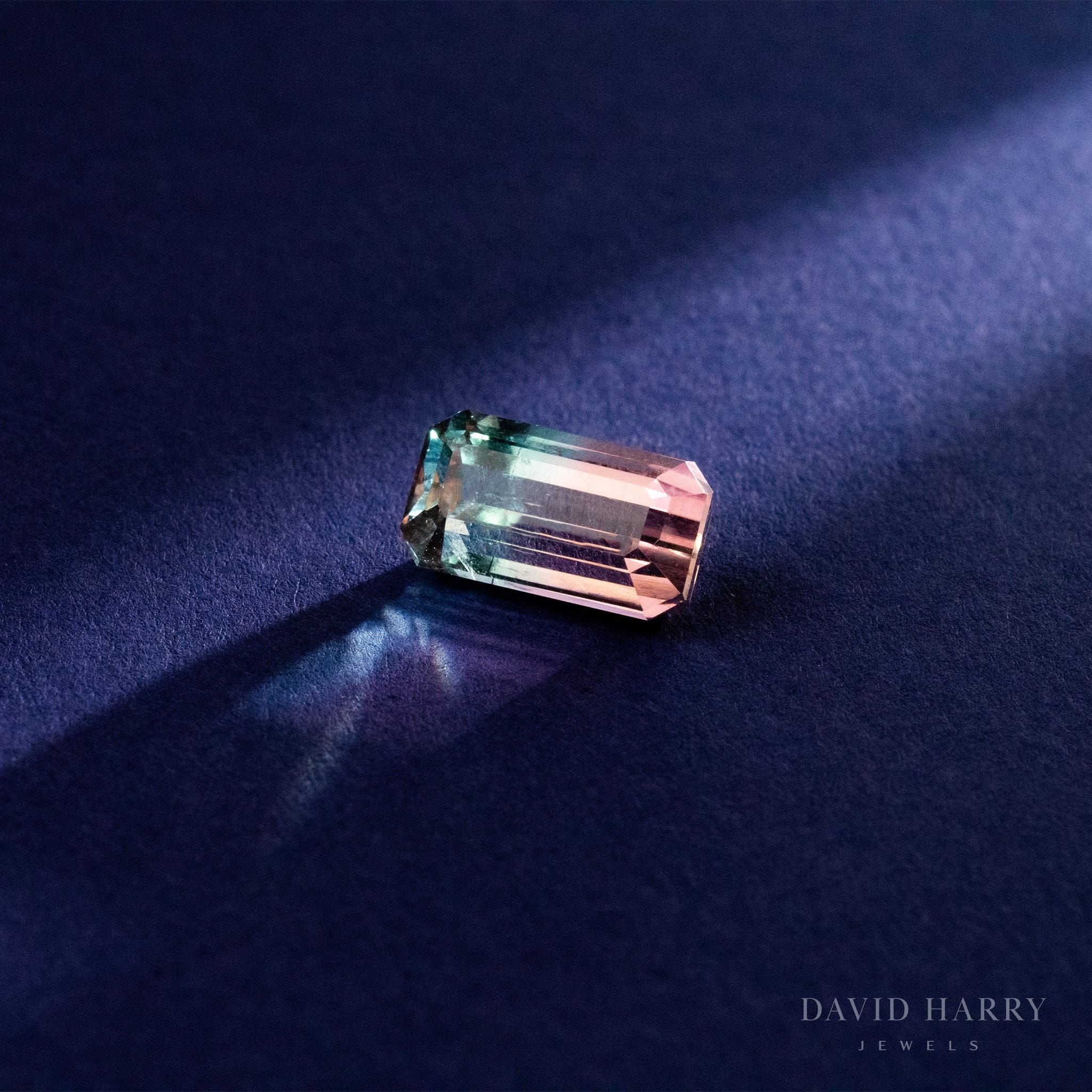 David Harry Jewels 3.85ct Pamir Watermelon Tourmaline