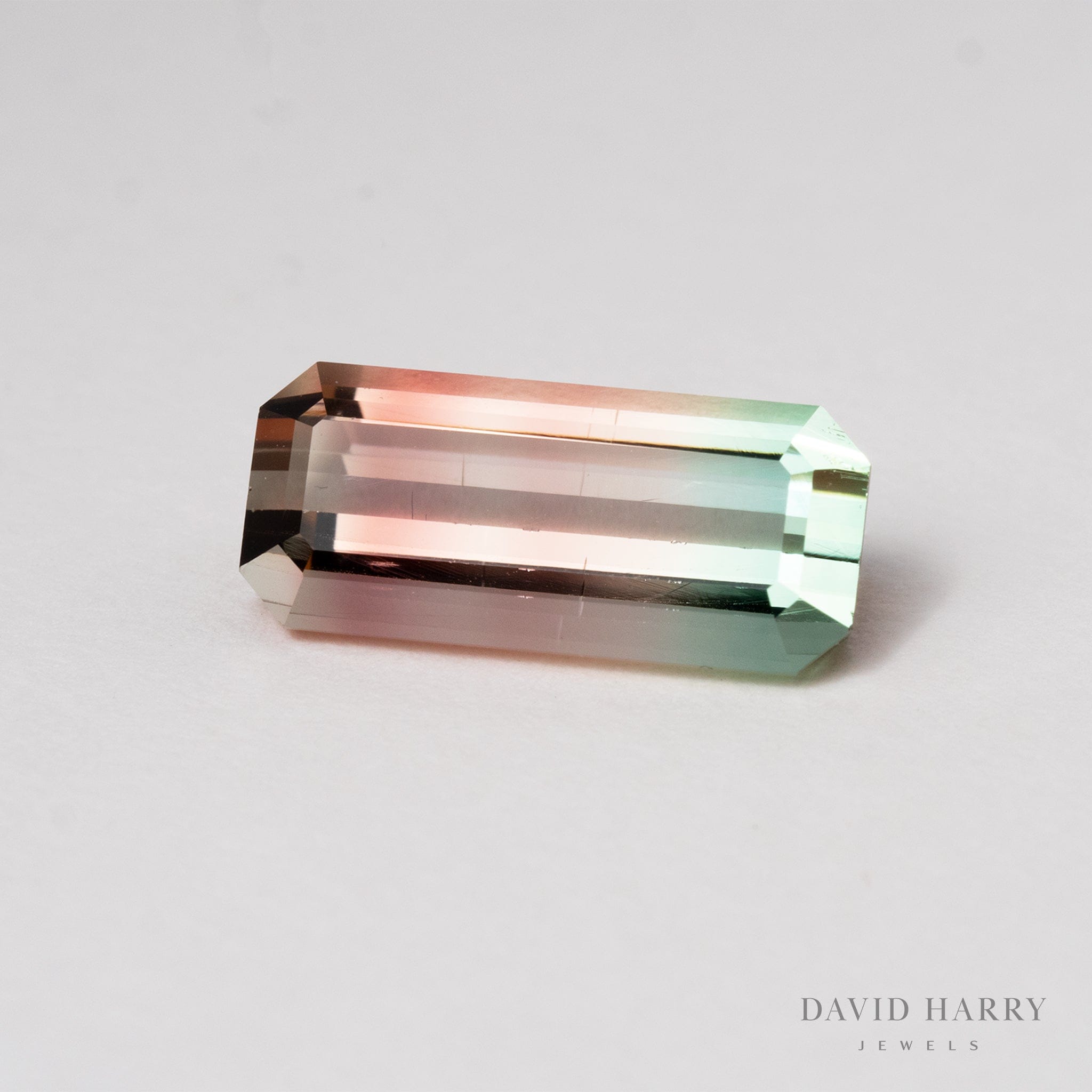 David Harry Jewels 4.10ct Pamir Watermelon Tourmaline