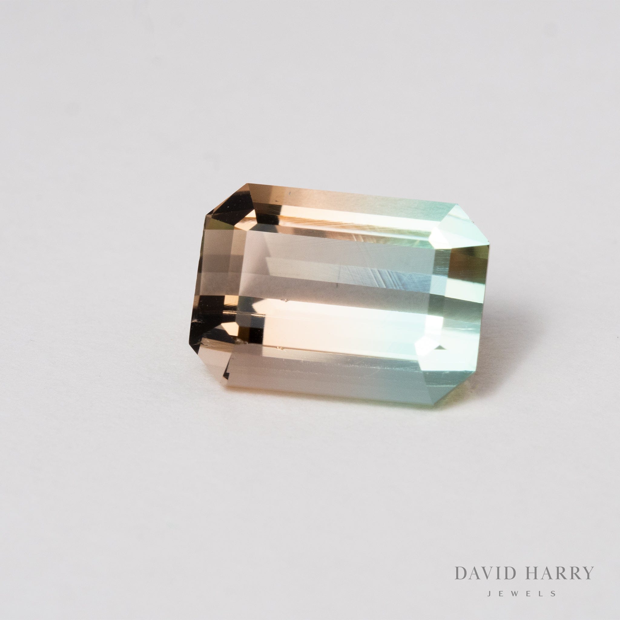 David Harry Jewels 4.95ct Pamir Watermelon Tourmaline