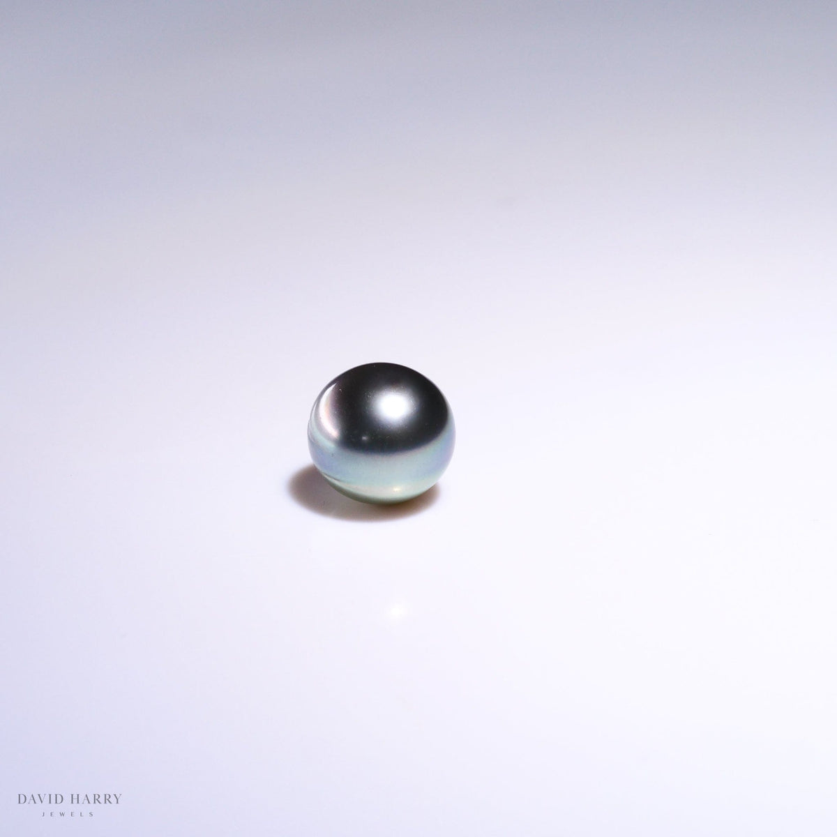 David Harry Jewels 10.3 x 9.6mm Grey Tahitian Pearl