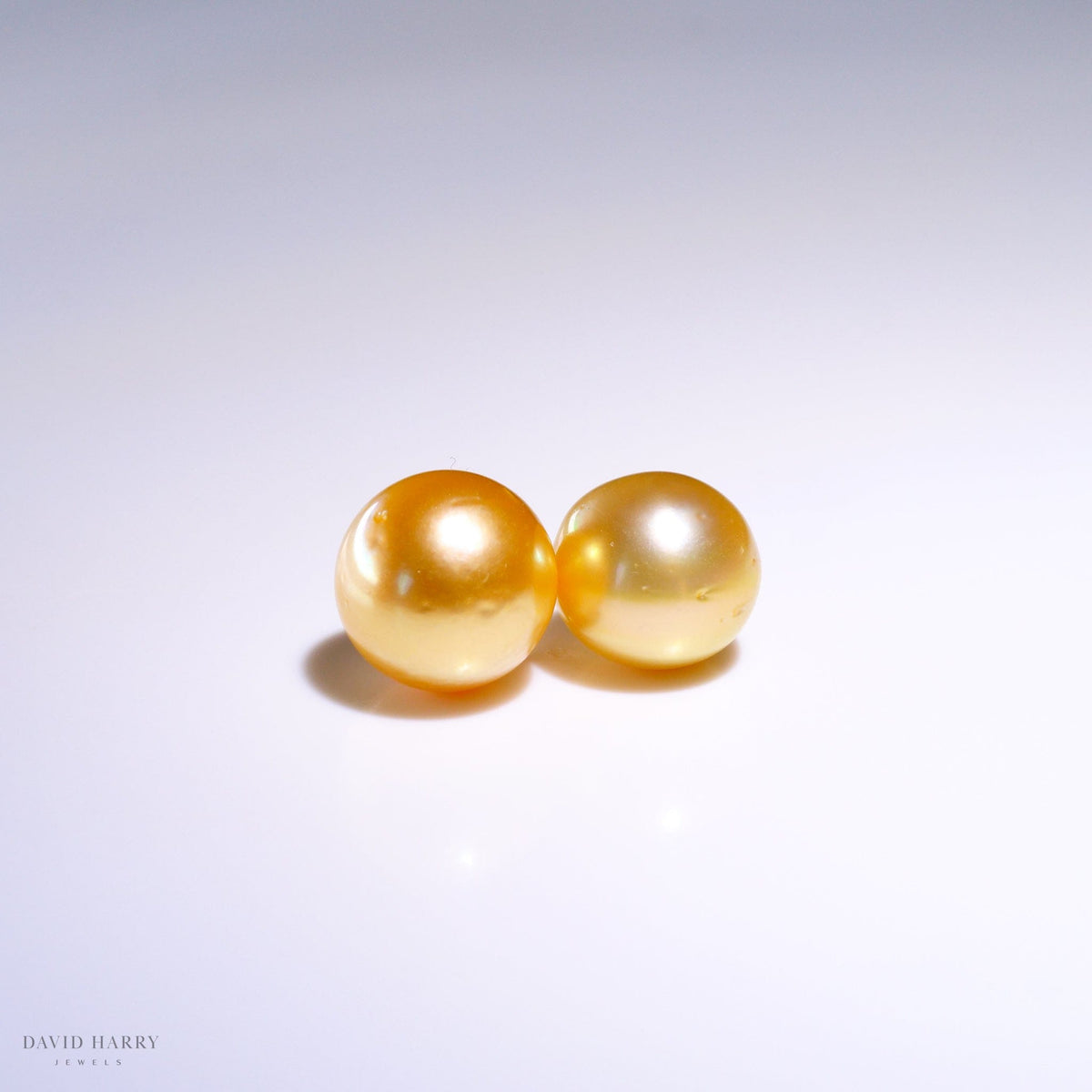 David Harry Jewels 11.5mm Golden South Sea Pearl Pair