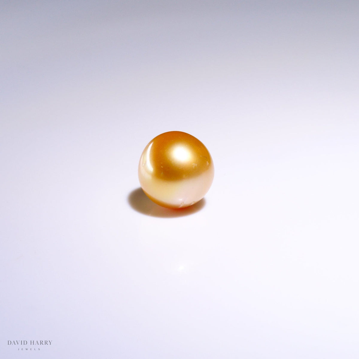 David Harry Jewels 12.5mm Golden South Sea Pearl