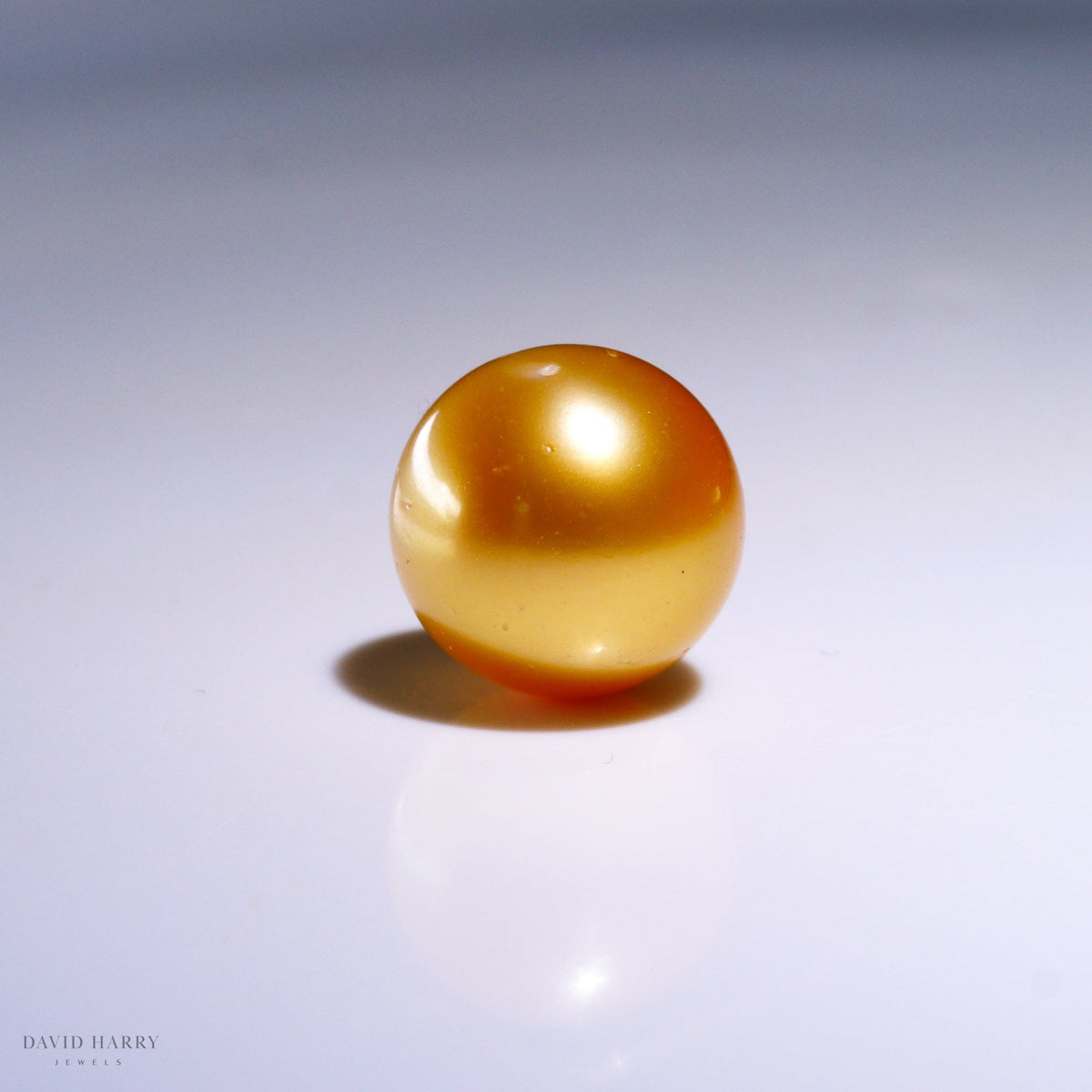 David Harry Jewels 13.5mm Golden South Sea Pearl