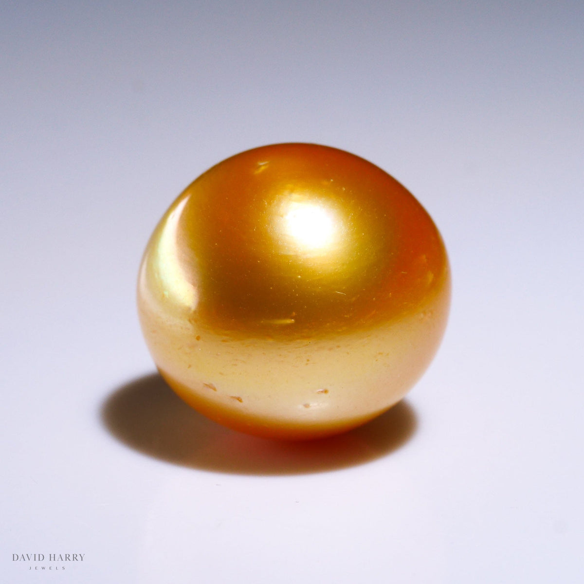 David Harry Jewels 15mm Golden South Sea Pearl