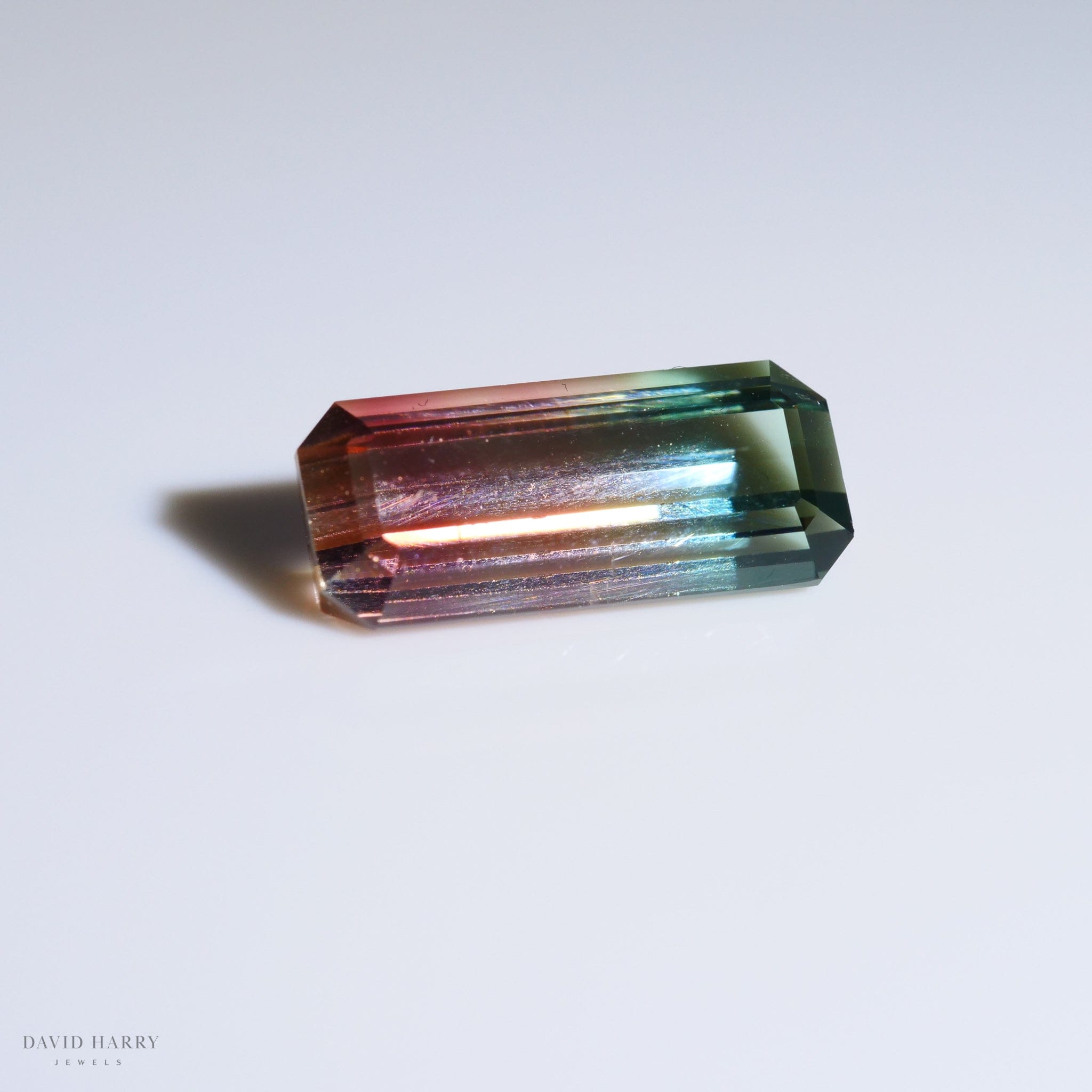David Harry Jewels 4.10ct Pamir Watermelon Tourmaline