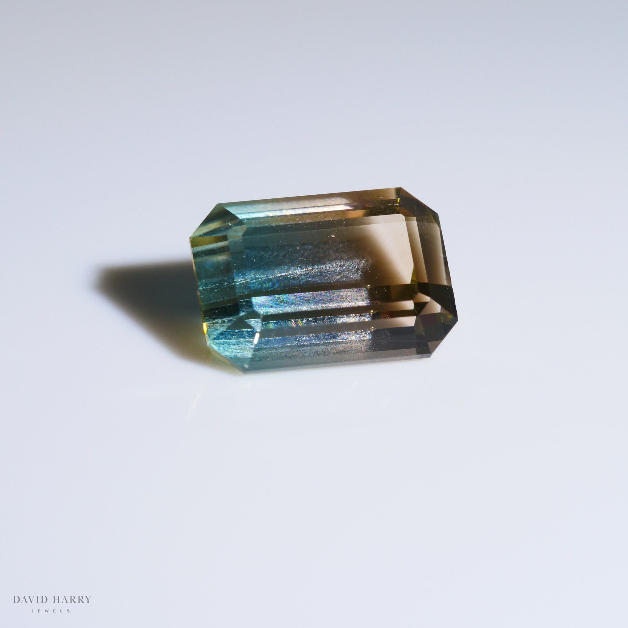 David Harry Jewels 4.95ct Pamir Watermelon Tourmaline