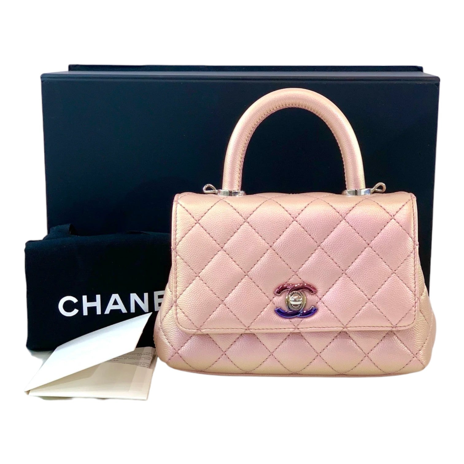 Chanel Coco Handle Mini Bag Coloured Metallic Hardware