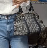 DIOR DIOR Trotter Mini Boston Canvas×Leather Navy G B1015GSAD5