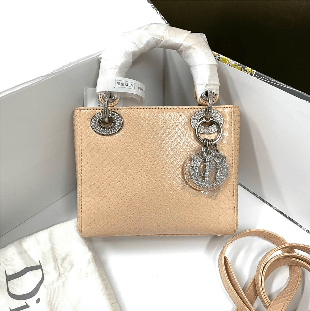 Dior Dior Lizard Lady Dior with Rhinestone Hardware C19606194683