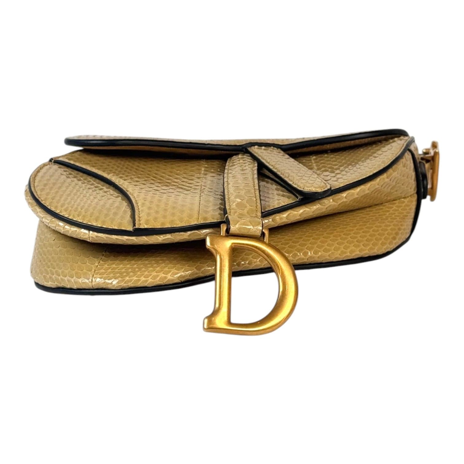 Dior Dior Saddle Mini Python Bag