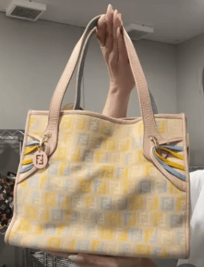 Fendi Fendi Canvas × Leather Multi × Beige Zucchino Handbag B0708VCMNS