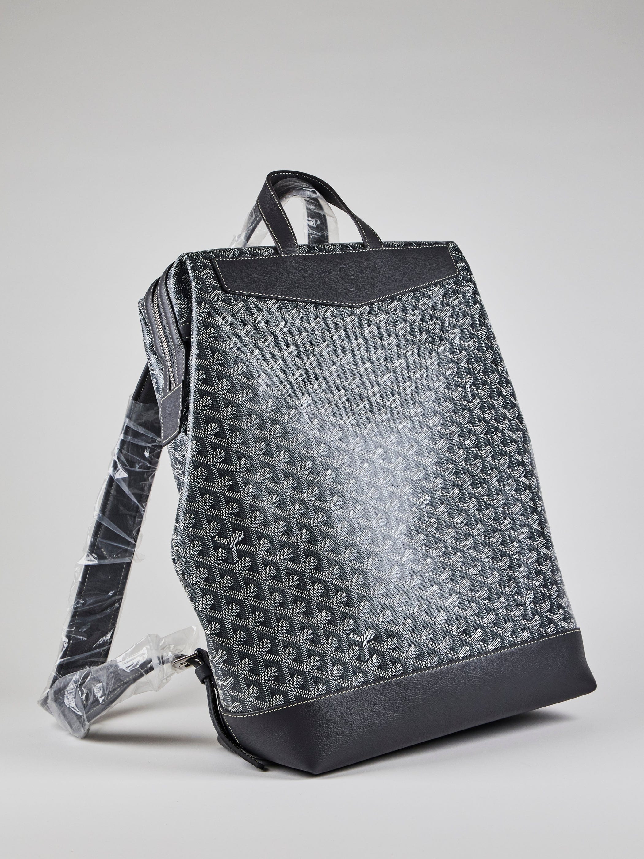 Goyard GOYARD Cisalpin Backpack in Grey