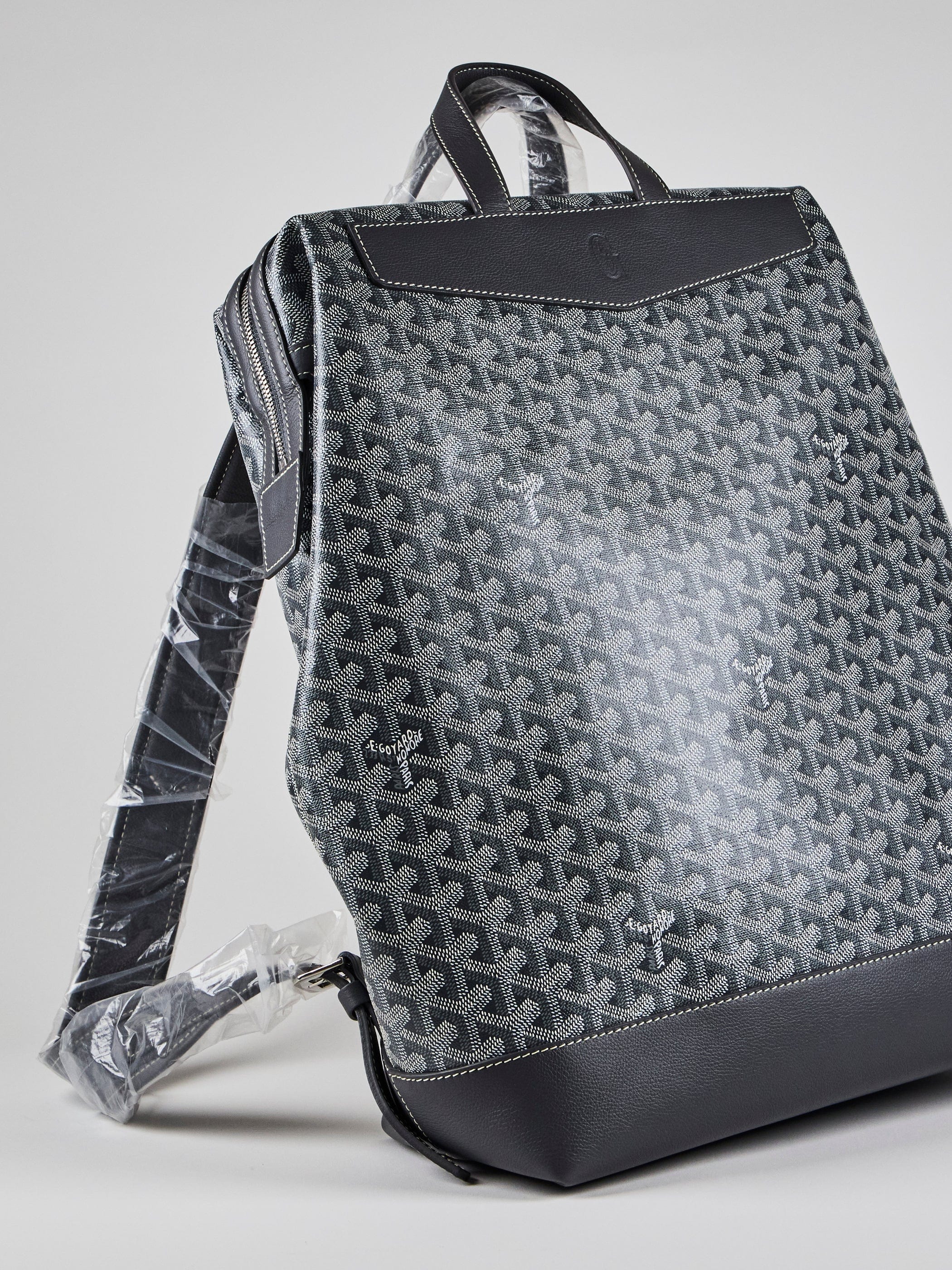 Goyard GOYARD Cisalpin Backpack in Grey