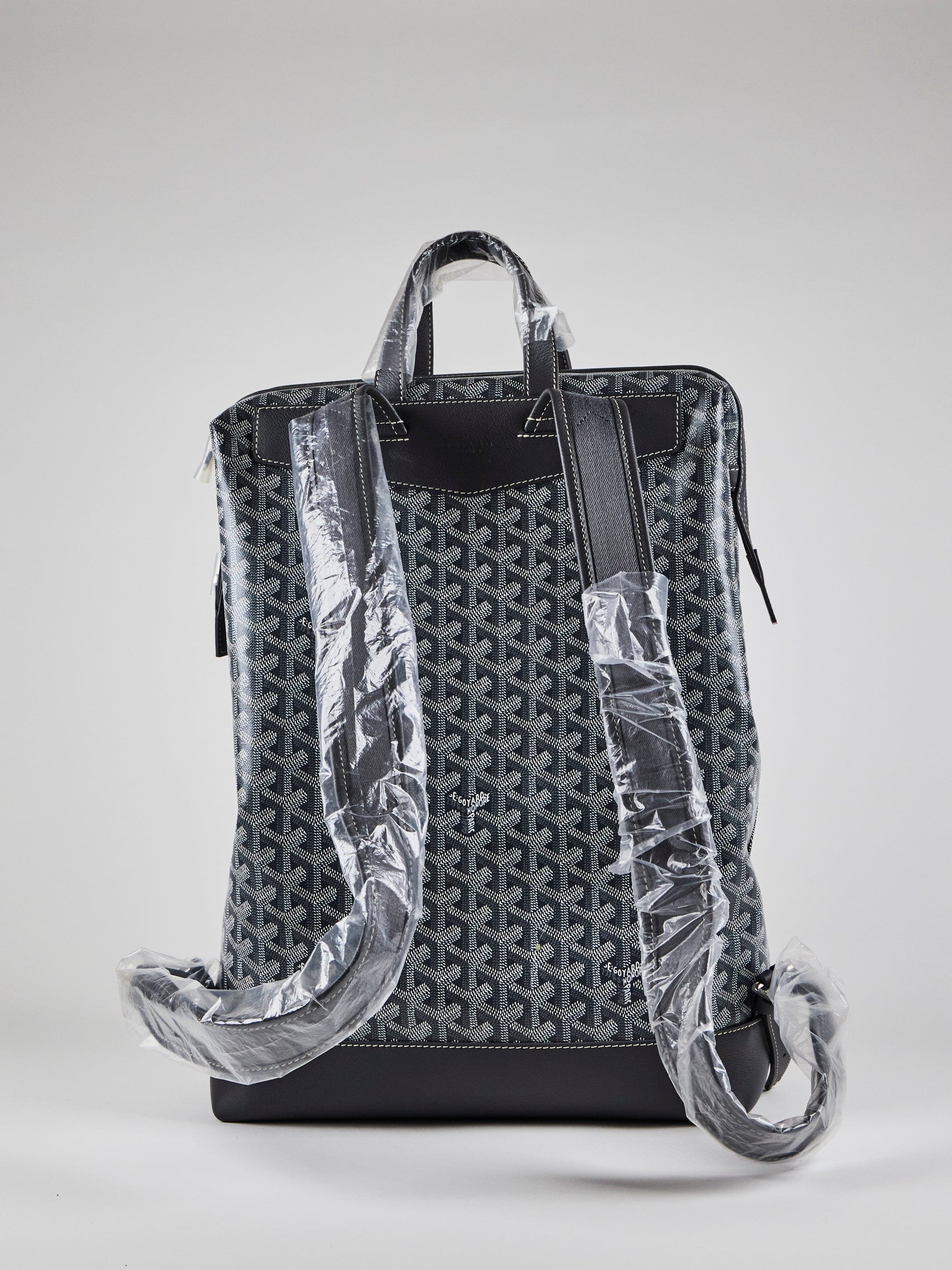 Goyard GOYARD Cisalpin Backpack in Grey