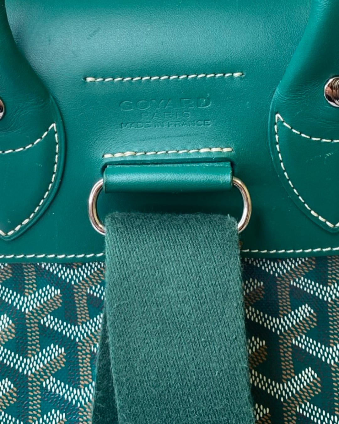 Goyard Goyard Rucksack Green