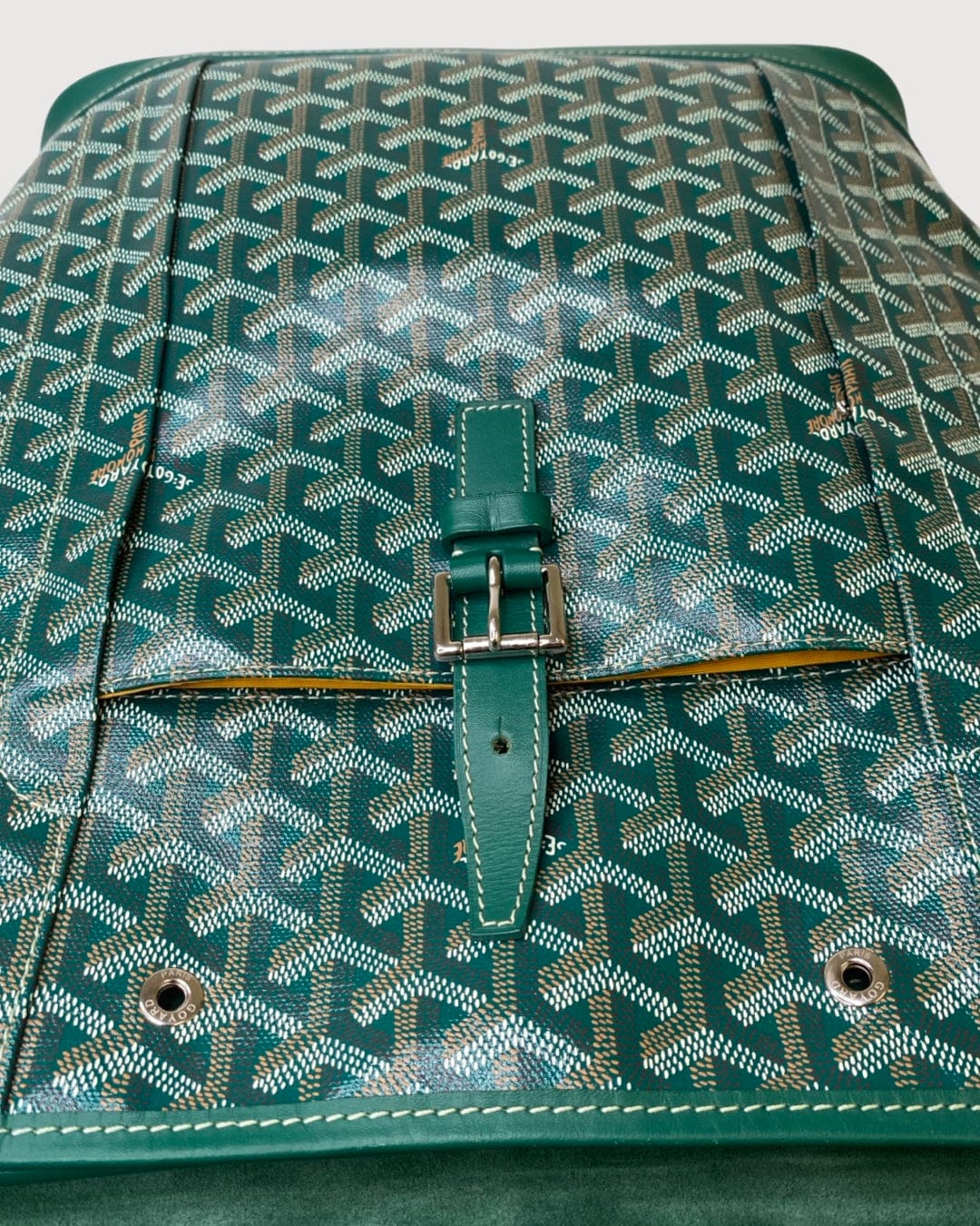 Goyard Goyard Rucksack Green