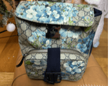 Gucci Gucci Packback IB49