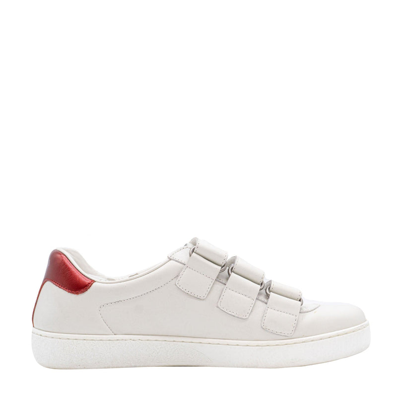 Gucci ace sale sneakers harga