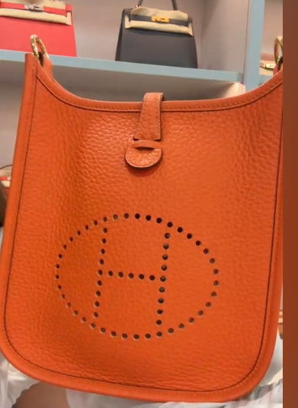Hermès Evelyn 19(Mini) Orange Field  AGC3873
