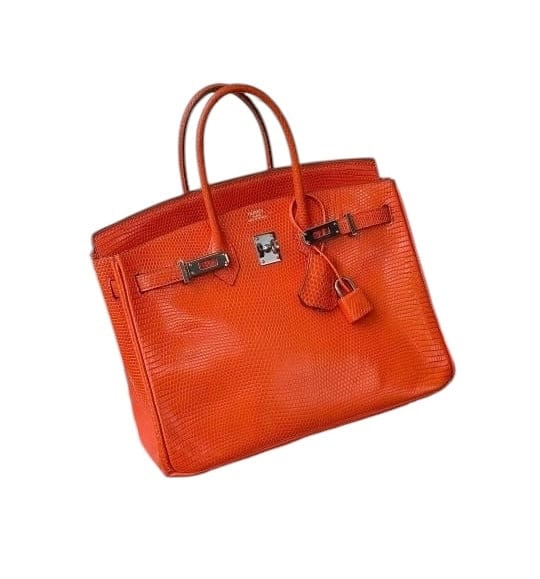 Hermès Hermes Birkin 25 Tangerine Lizard RHW SYCYB1042