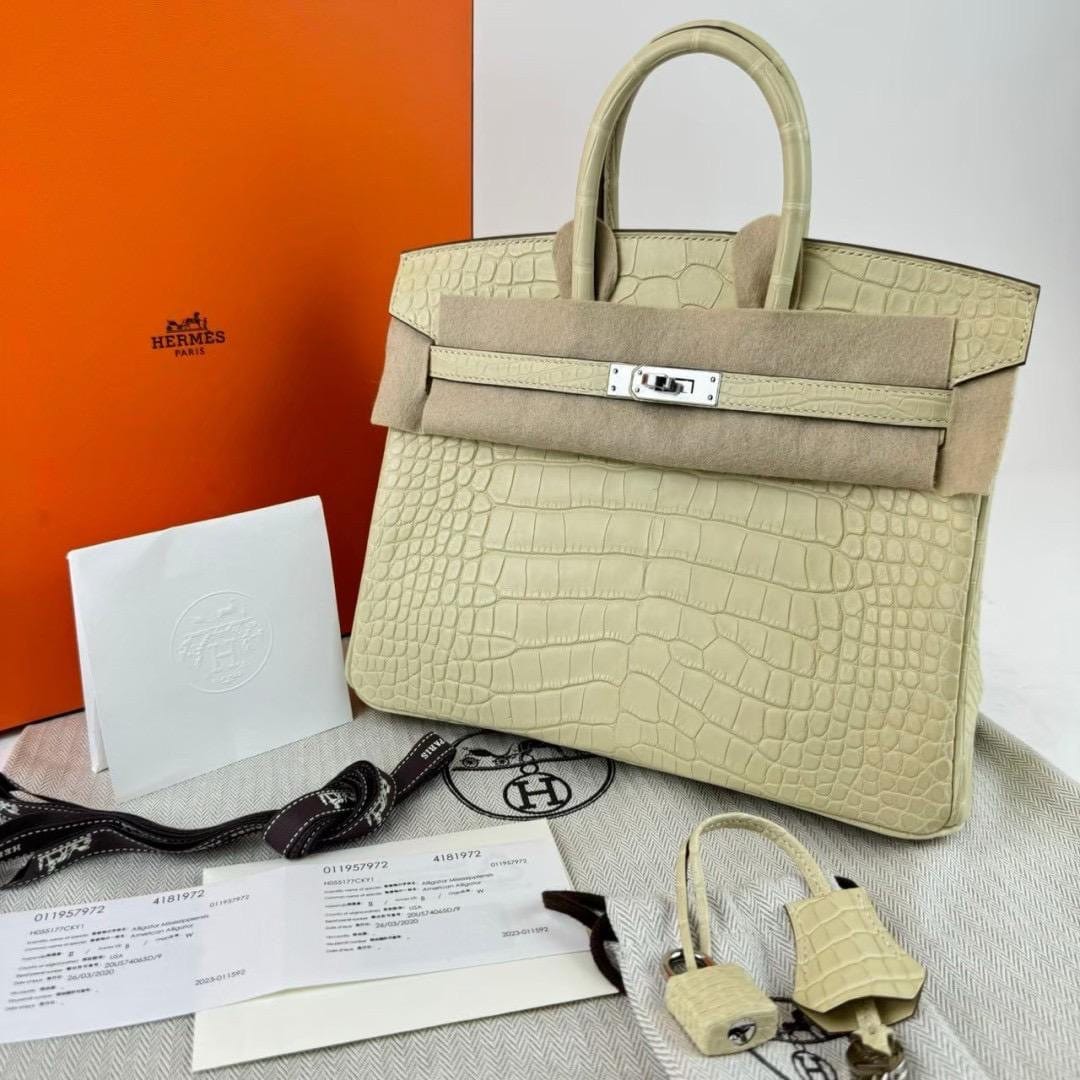 Hermès Hermes Birkin 25 Vanille Matte Alligator PHW #B SKCB-092955