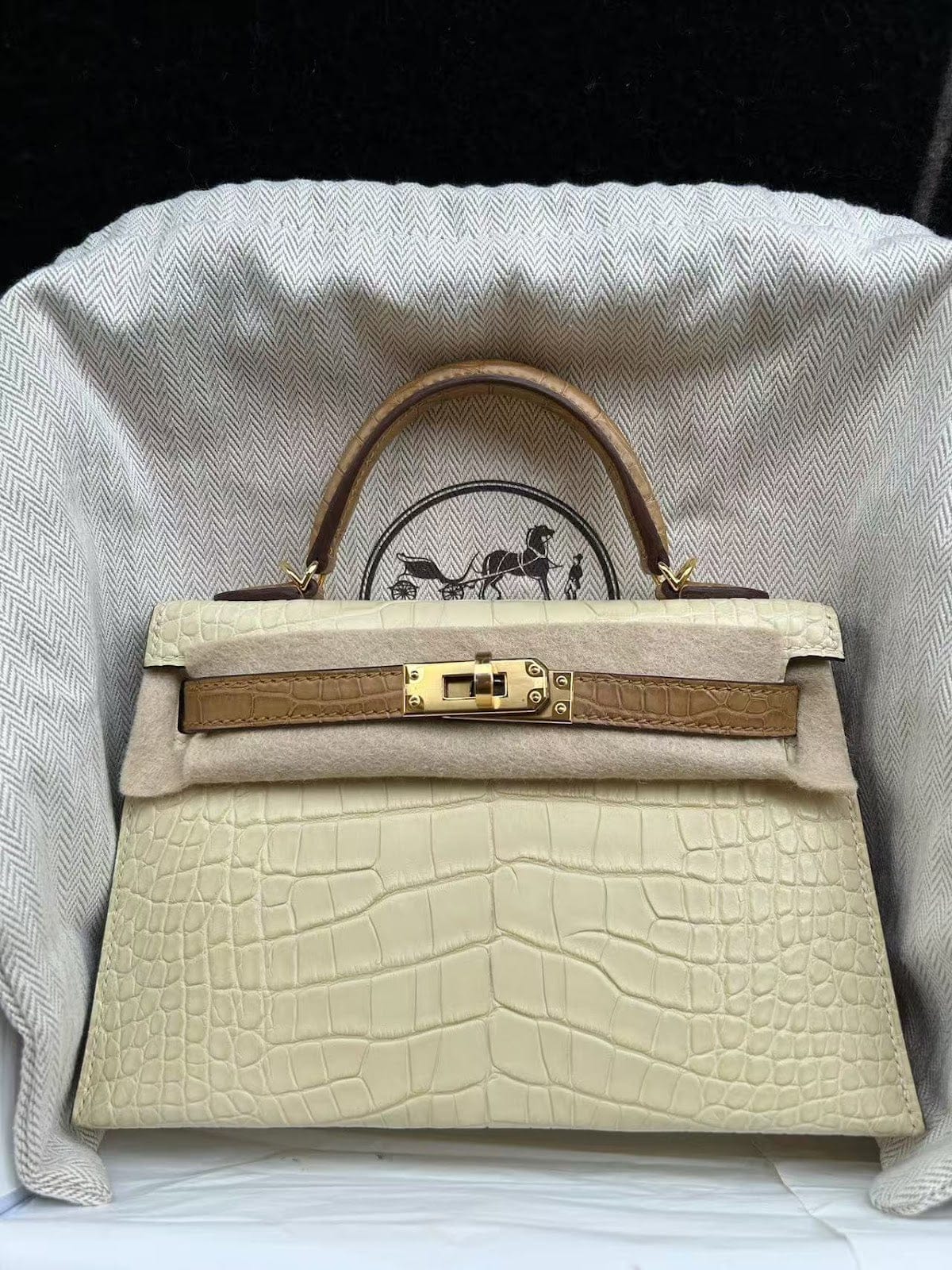 Hermès Hermes Mini Kelly Vanille+Kraft GHW B Matt,Alligator ALTC0145