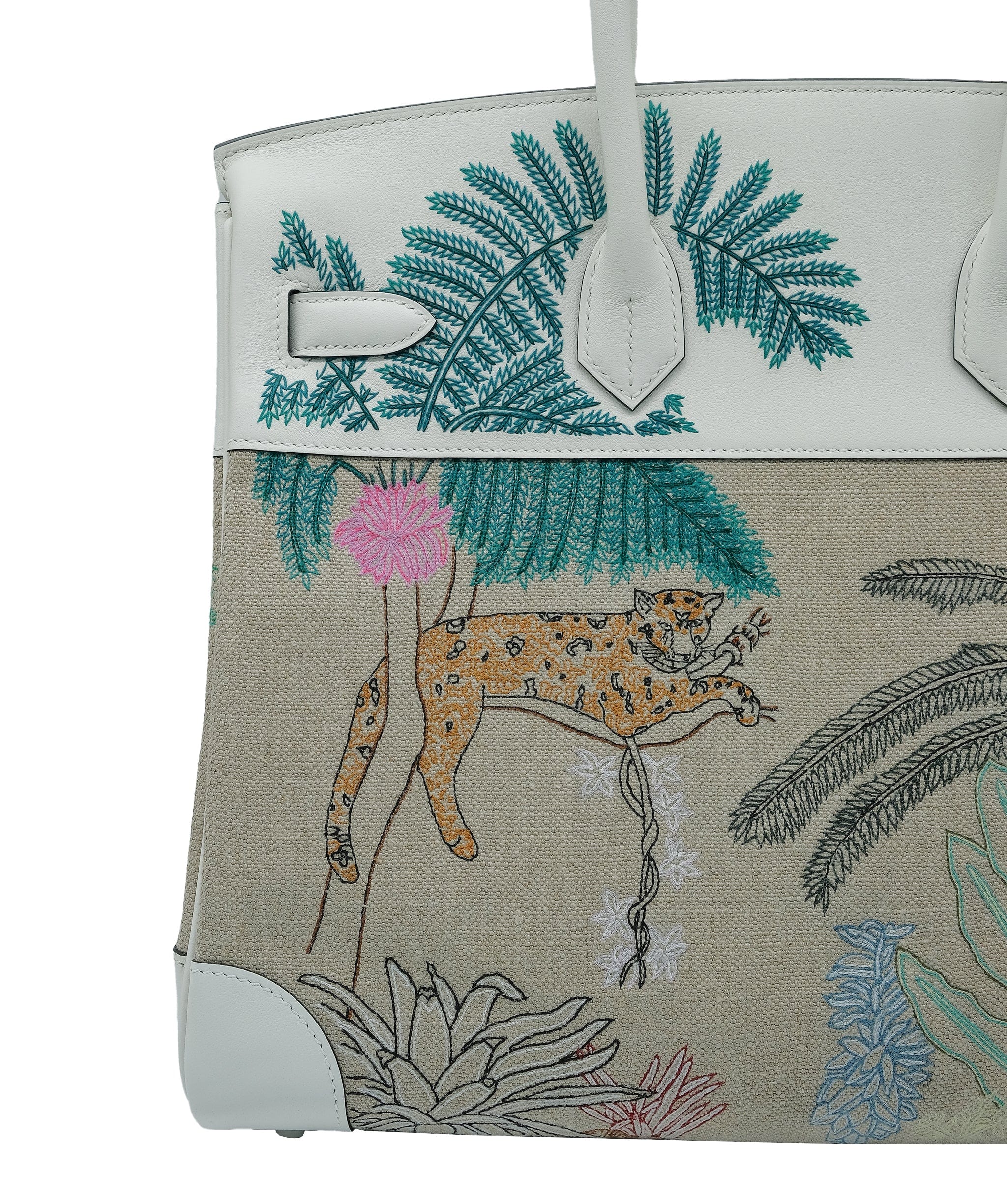 Hermès Limited Edition Birkin Faubourg Tropical REC1585
