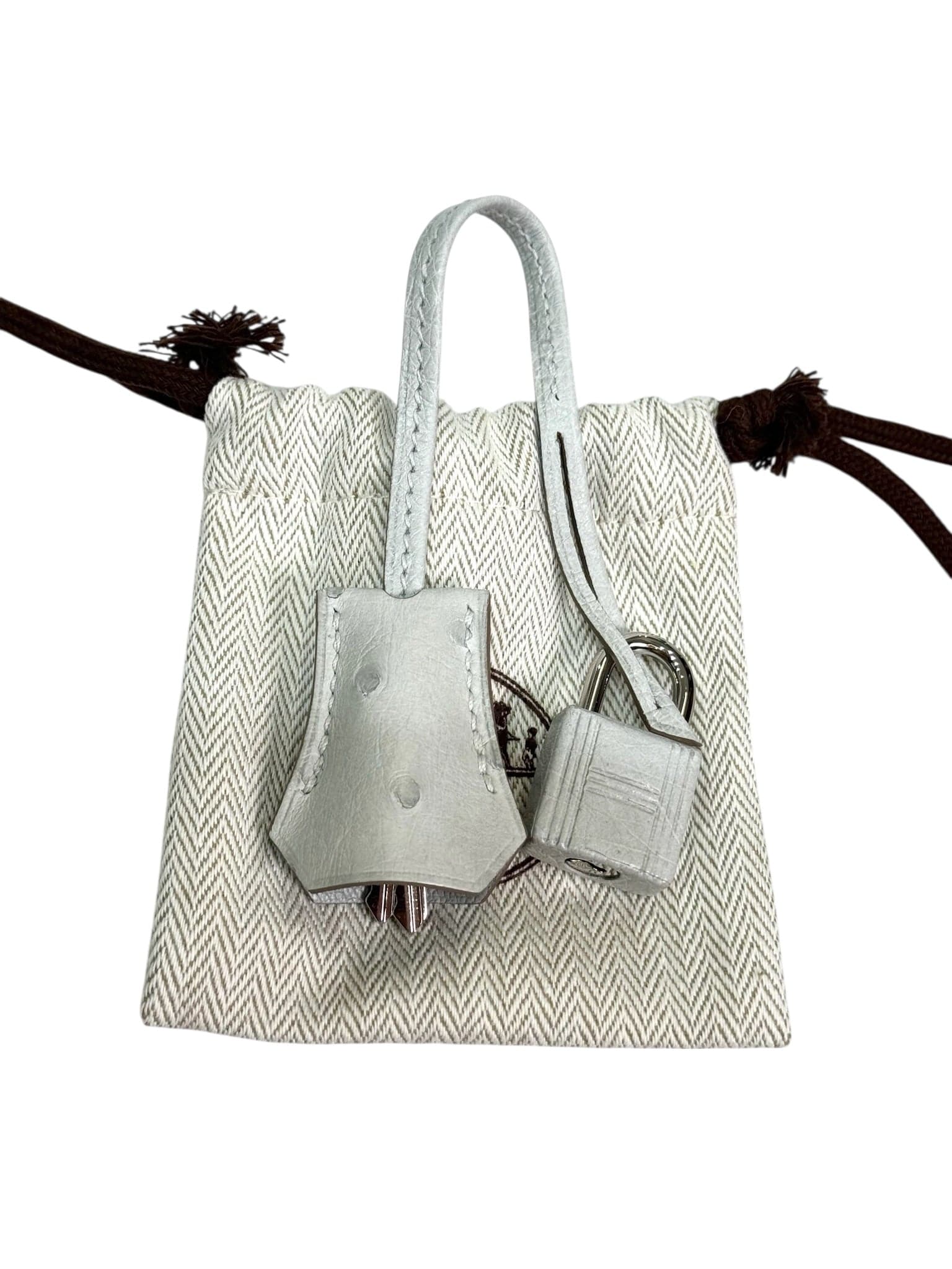 Hermes Hermes Birkin 25 Gris Perle Ostrich - U Stamp Full Set
