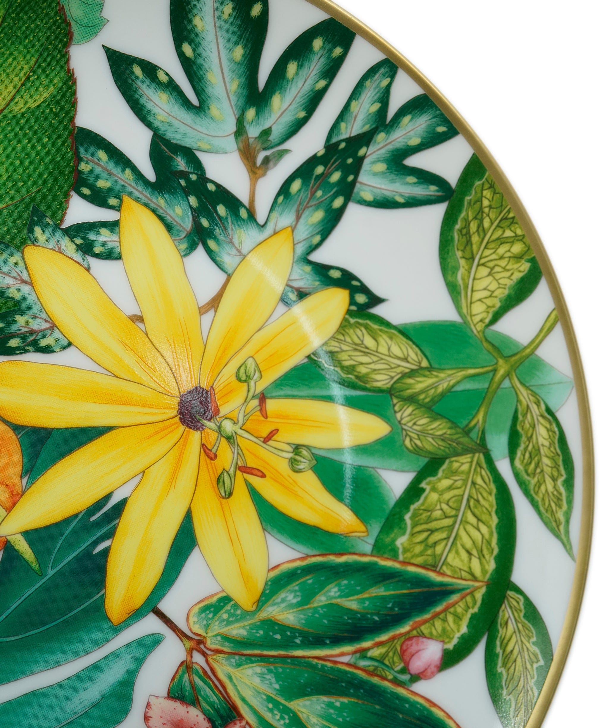 Hermès Hermes Passifolia Dessert Plates NIB  ALC2629