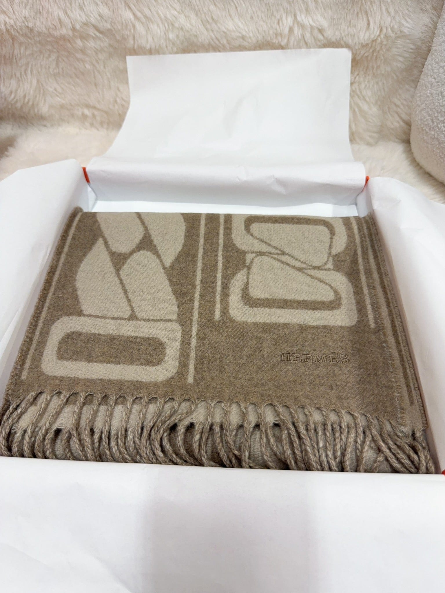 Iconn Boutique Hermès Fringed Scarf