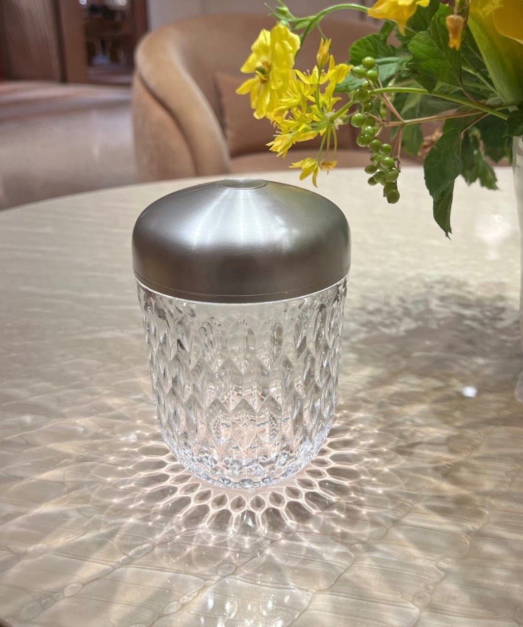 Iconn Boutique Saint-Louis Crystal Tumbler - Silver Rim