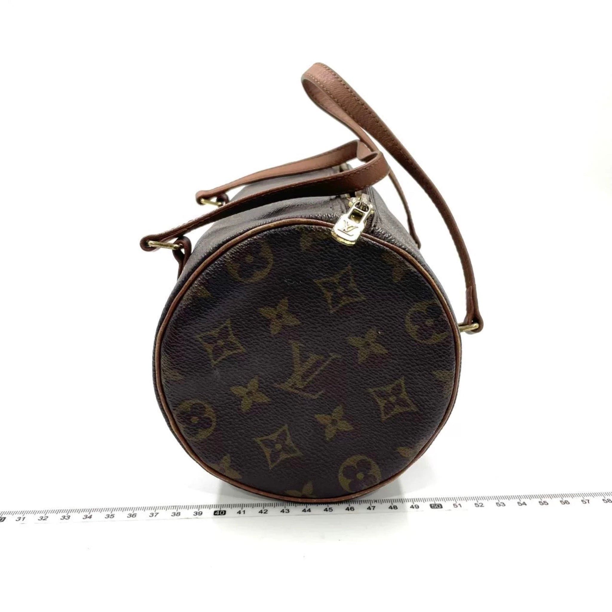 Louis Vuitton Louis Vuitton Papillon 26 Canvas Bag