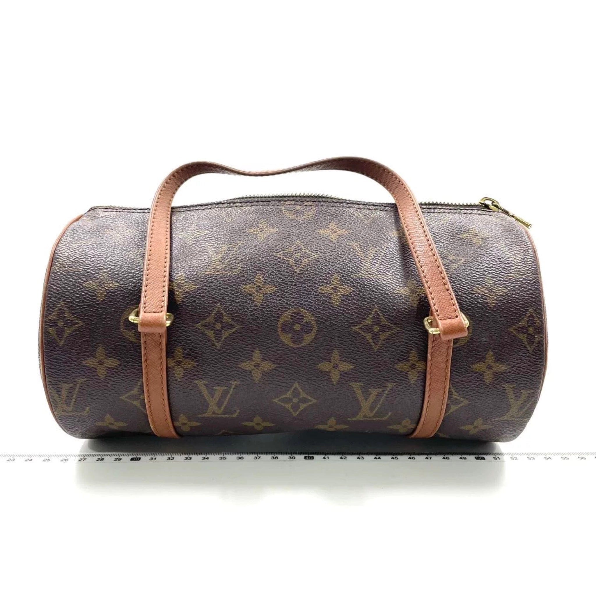 Louis Vuitton Louis Vuitton Papillon 26 Canvas Bag