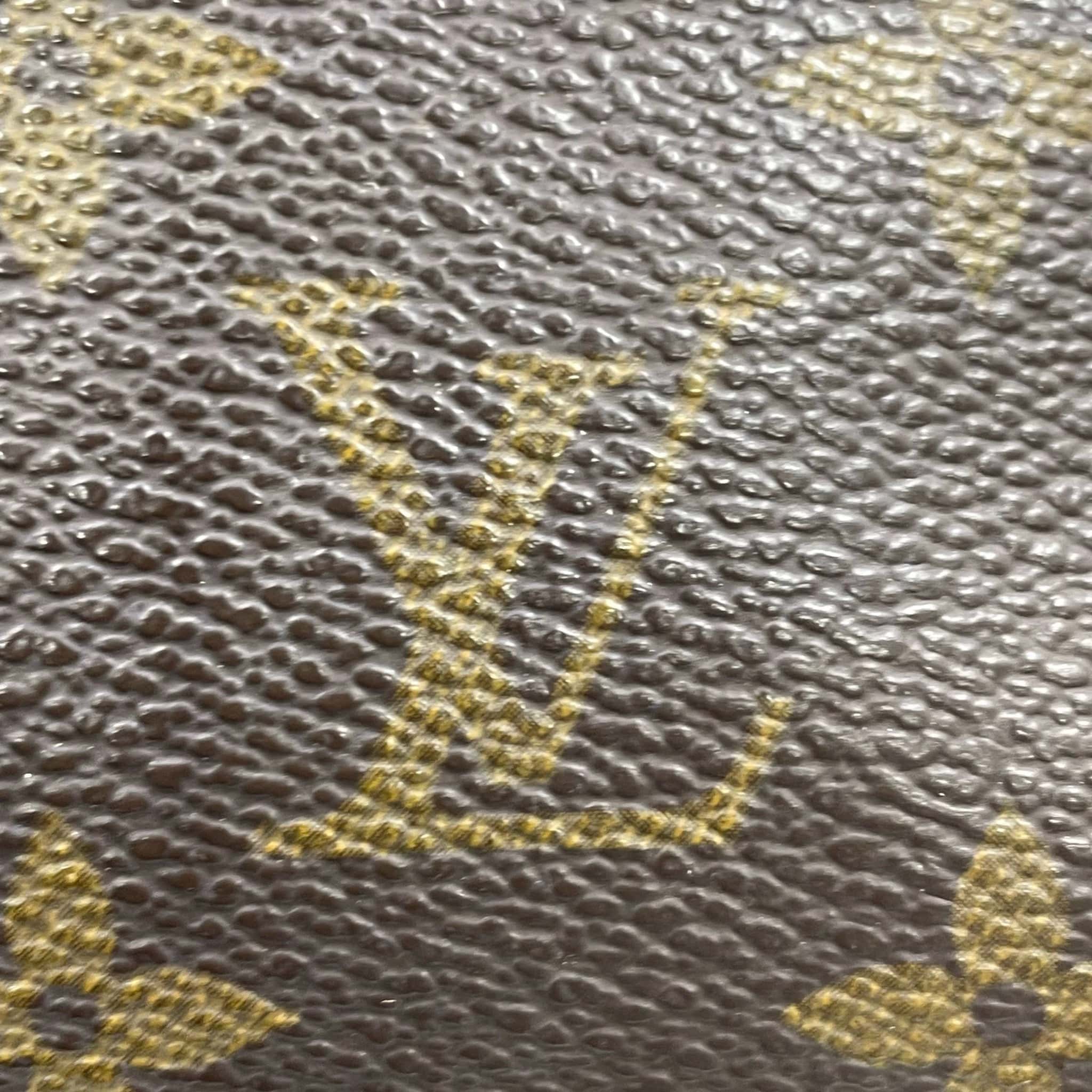 Louis Vuitton Louis Vuitton Papillon 26 Canvas Bag